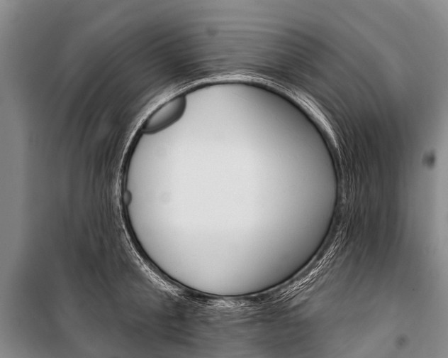 X0000101210805200806270853