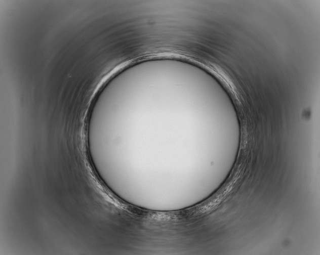 X0000101210806200806270853