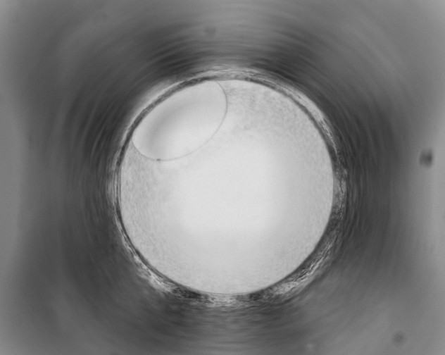 X0000101210807200806270853