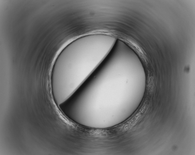 X0000101210808200806270853