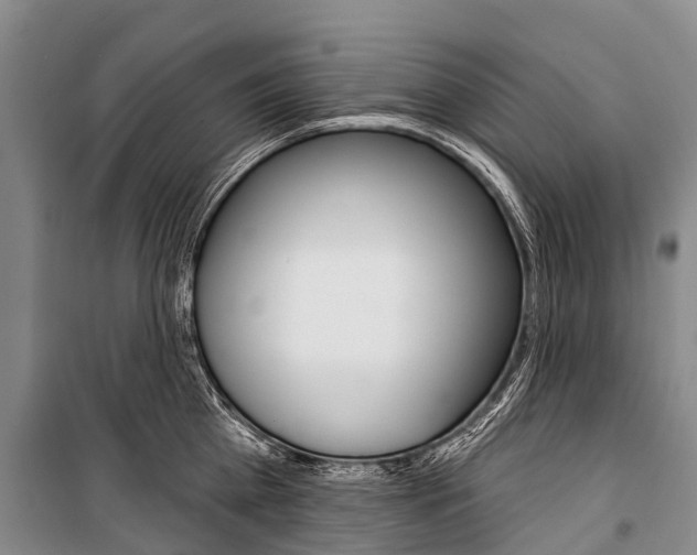X0000101210809200806270853