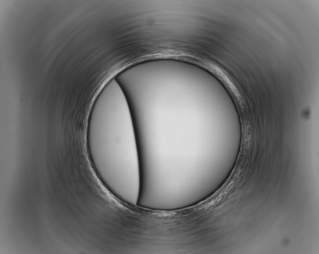 X0000101210810200806270853