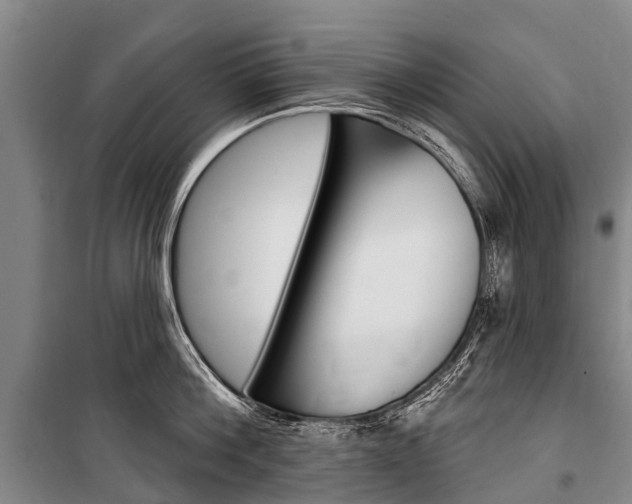 X0000101210812200806270853
