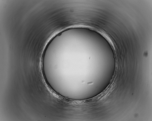 X0000101210813200806270852