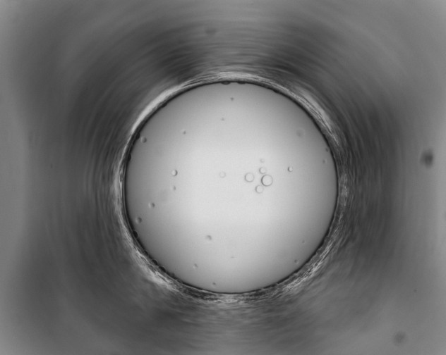 X0000101210814200806270852
