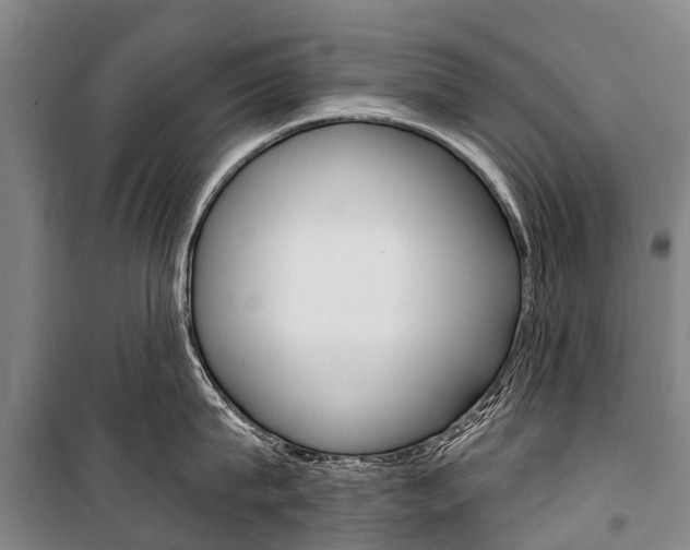 X0000101210815200806270852