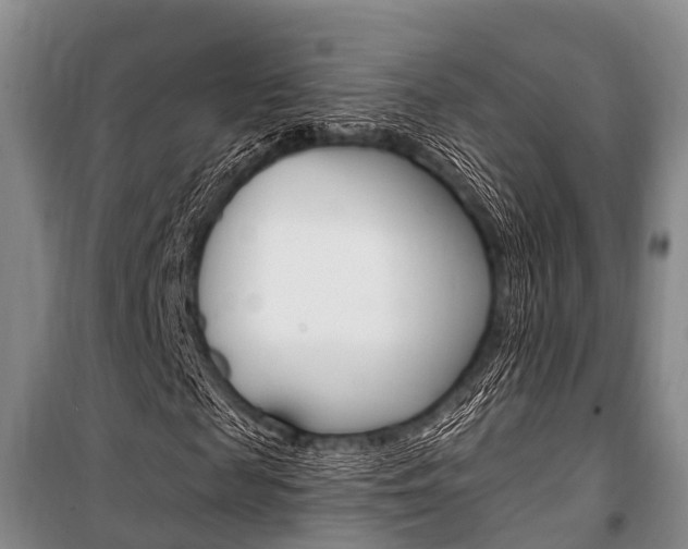 X0000101210817200806270852