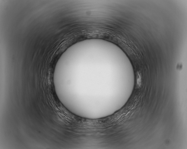 X0000101210819200806270852