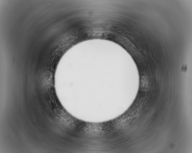 X0000101210820200806270852