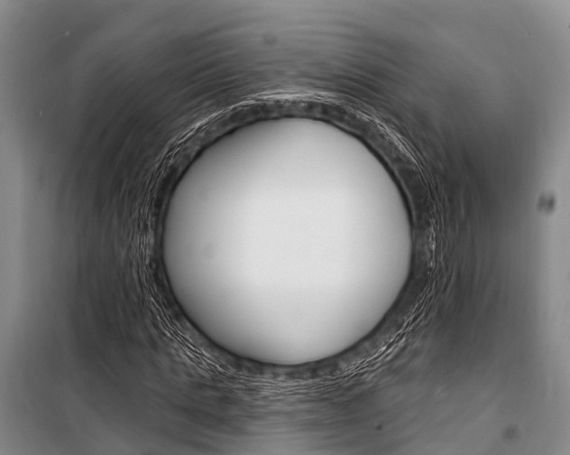 X0000101210821200806270852