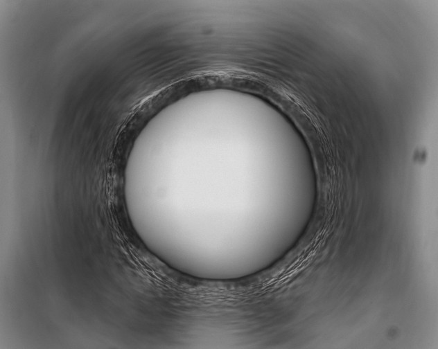 X0000101210822200806270852