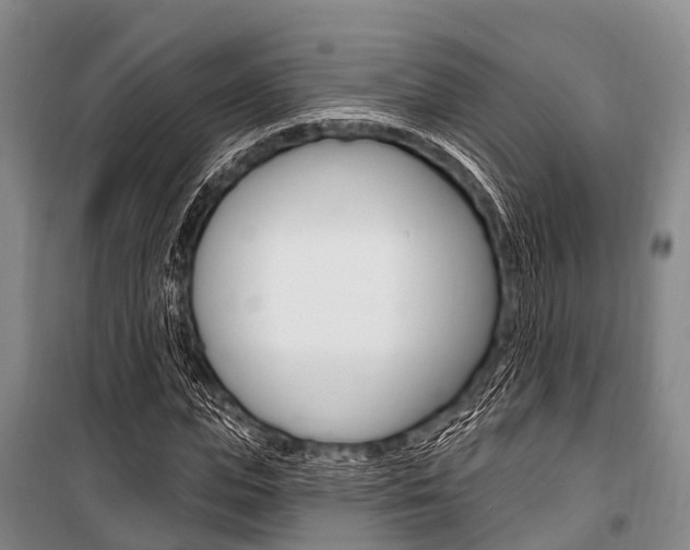 X0000101210823200806270852