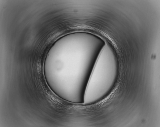X0000101210825200806270852