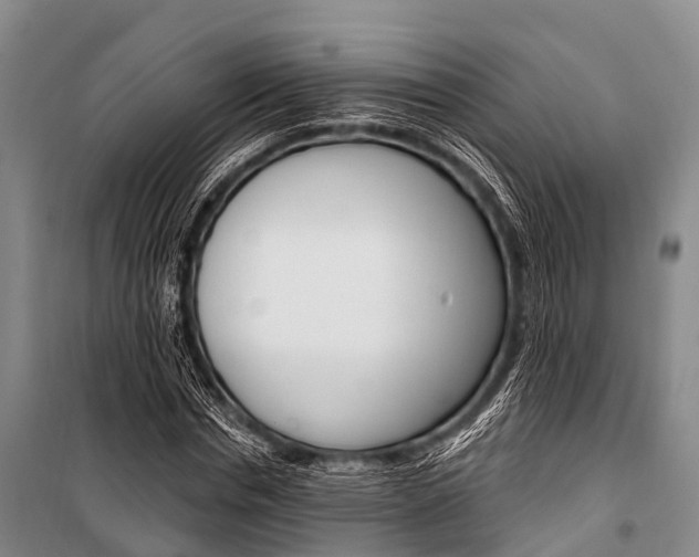 X0000101210826200806270852