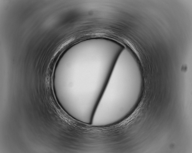 X0000101210827200806270852