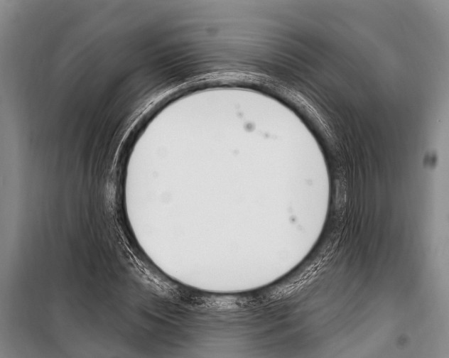 X0000101210828200806270852