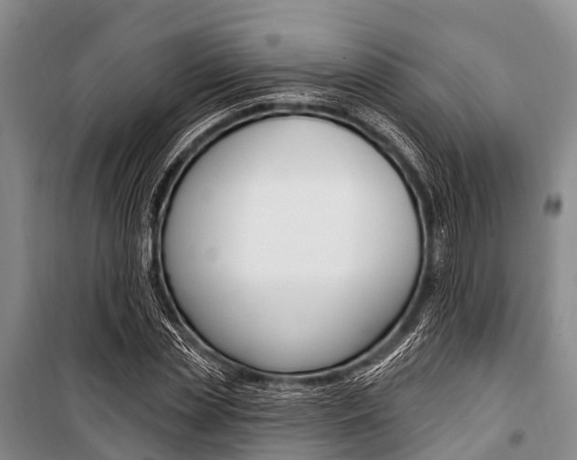 X0000101210829200806270852