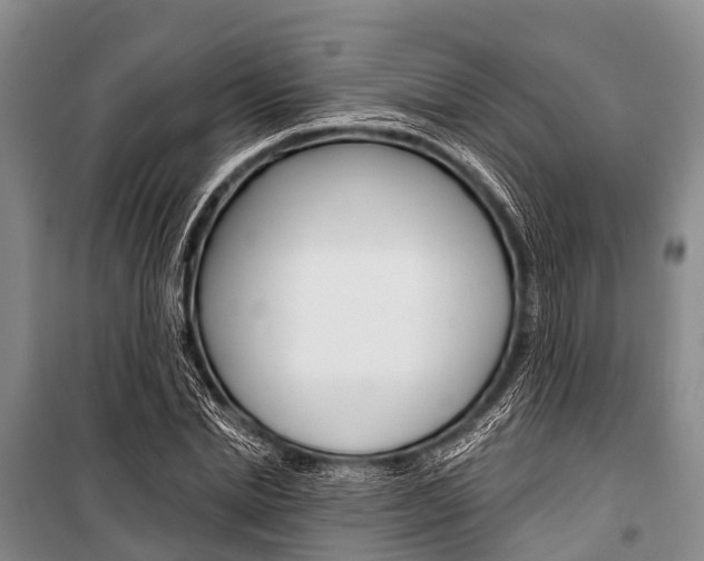 X0000101210830200806270852
