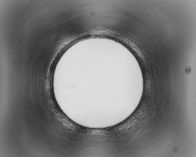 X0000101210832200806270852