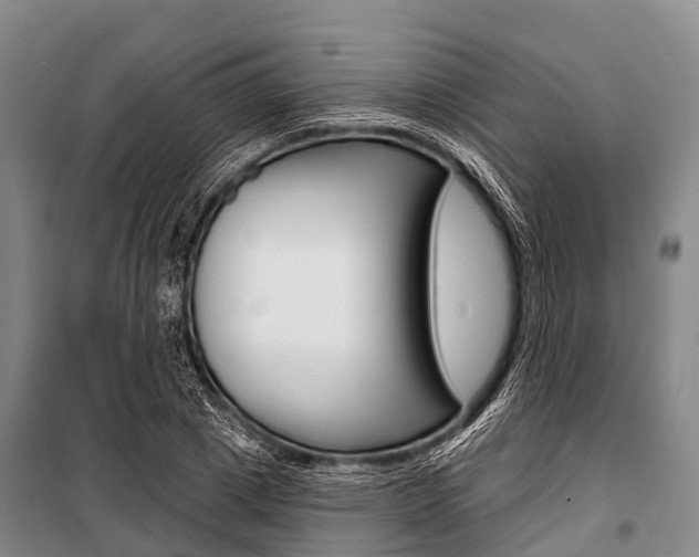 X0000101210833200806270852