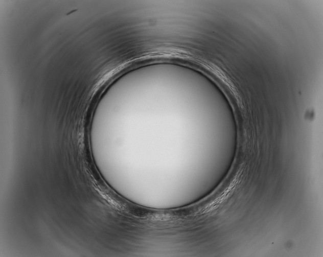 X0000101210834200806270852