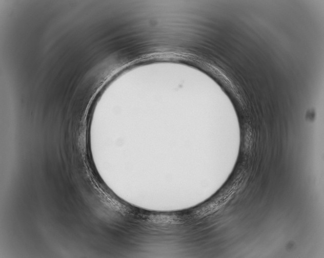 X0000101210836200806270852