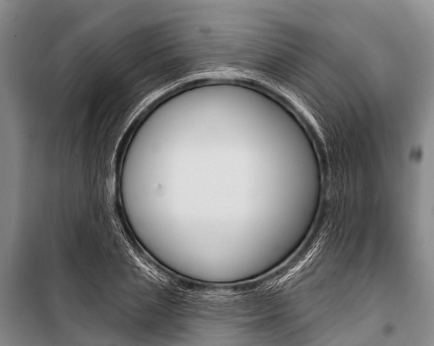 X0000101210837200806270852