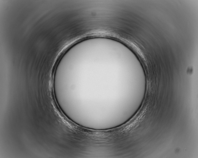 X0000101210839200806270852