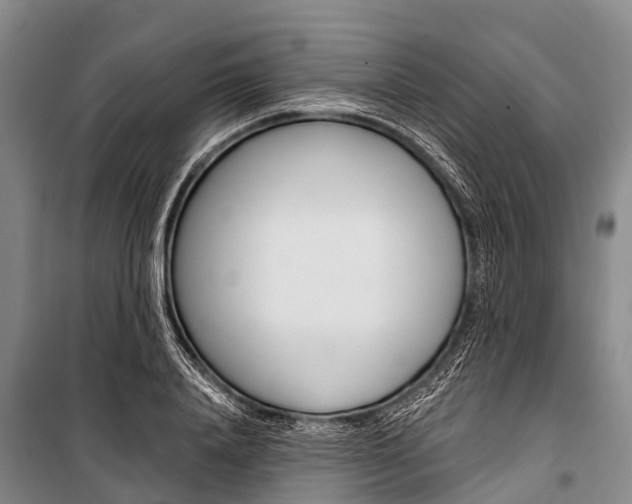 X0000101210840200806270852