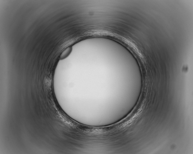 X0000101210841200806270852