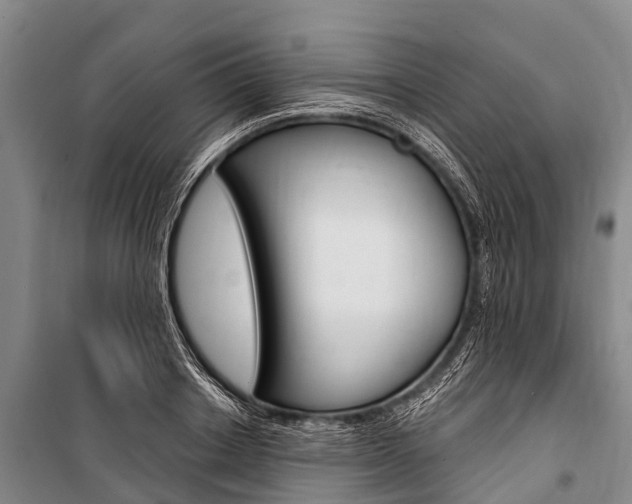 X0000101210842200806270852