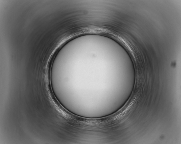 X0000101210843200806270852