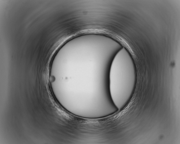 X0000101210844200806270852