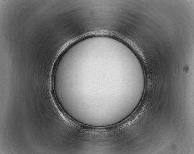 X0000101210845200806270852