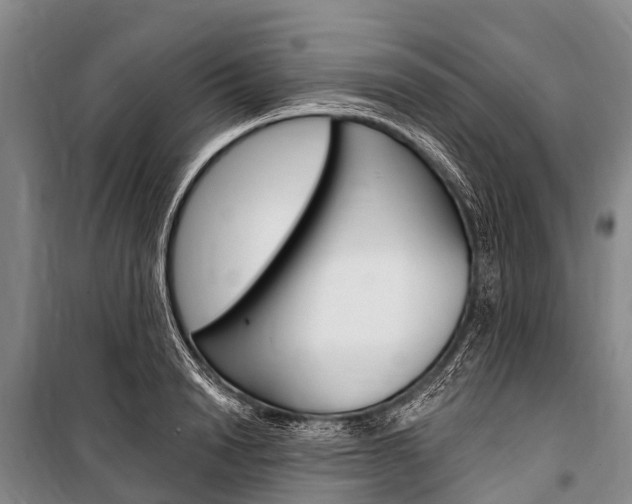 X0000101210846200806270852
