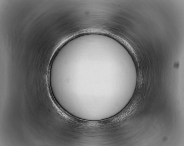 X0000101210847200806270852