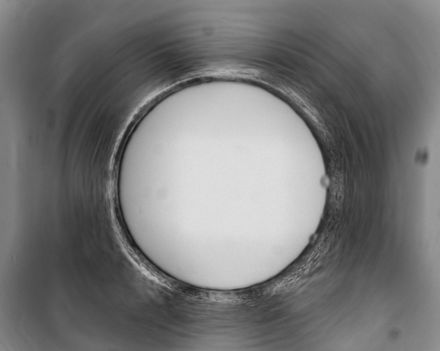 X0000101210848200806270852
