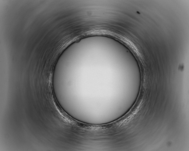X0000101210849200806270852