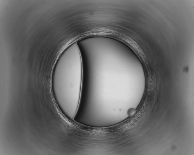 X0000101210850200806270852