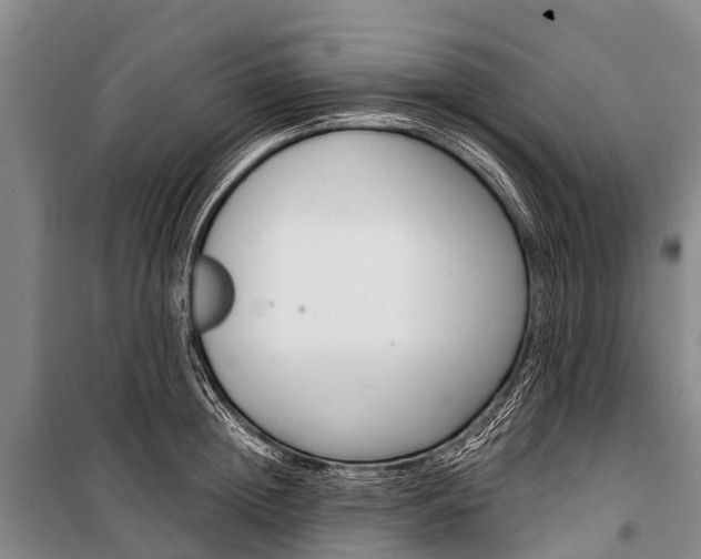 X0000101210852200806270852