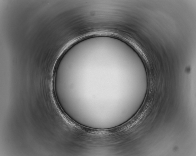 X0000101210853200806270852