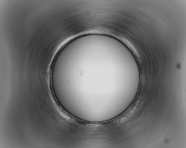 X0000101210854200806270852