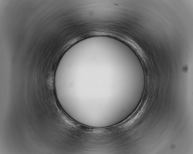 X0000101210857200806270852