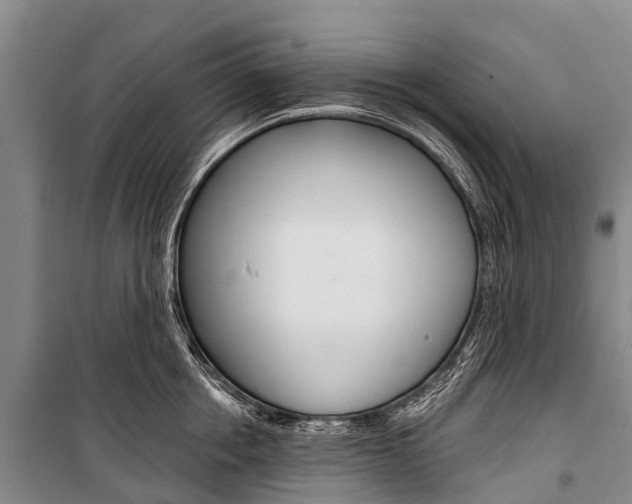 X0000101210858200806270852