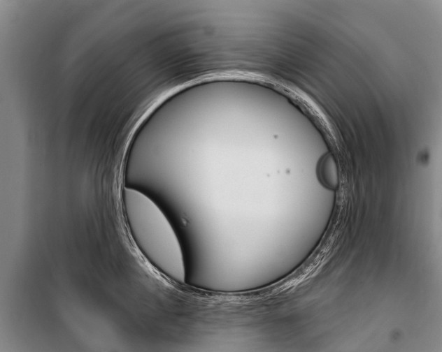 X0000101210860200806270852