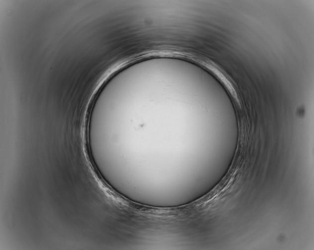 X0000101210861200806270852