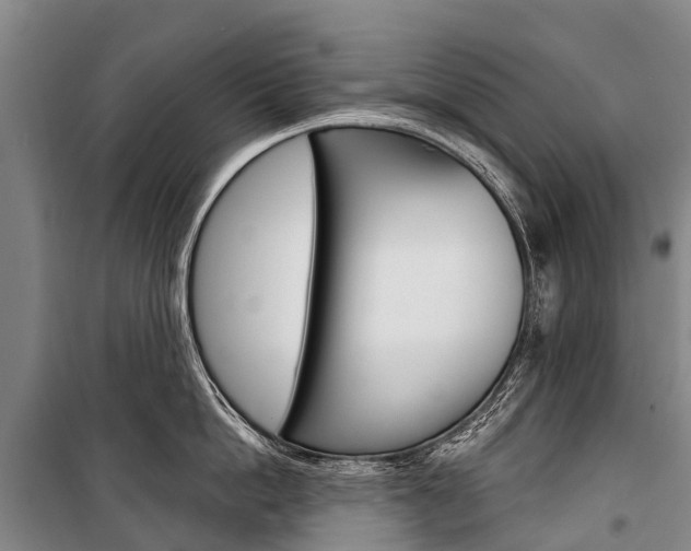 X0000101210862200806270852