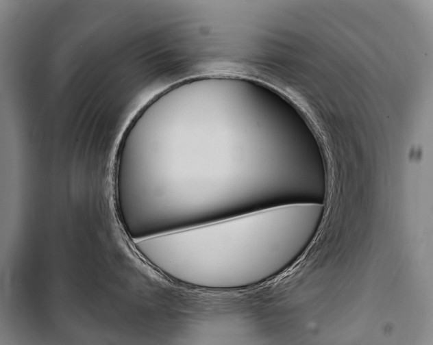 X0000101210864200806270852