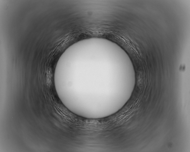 X0000101210866200806270852