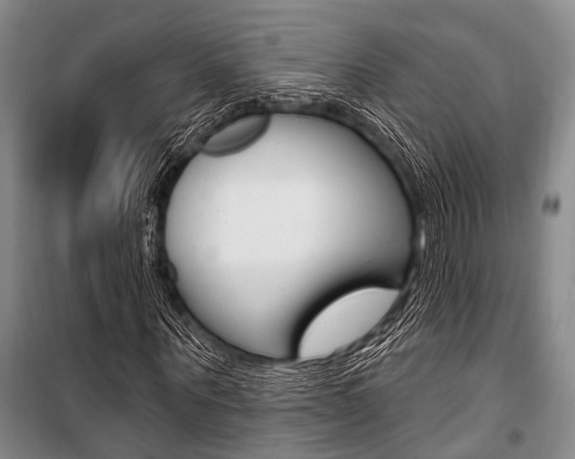 X0000101210867200806270852